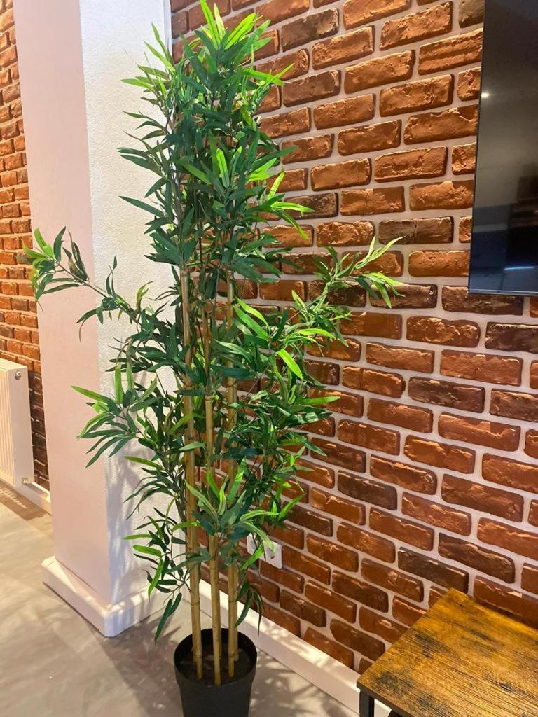 Luxurioese Loft Mit Garten Naehe Duesseldorf Messe Крефельд Екстер'єр фото