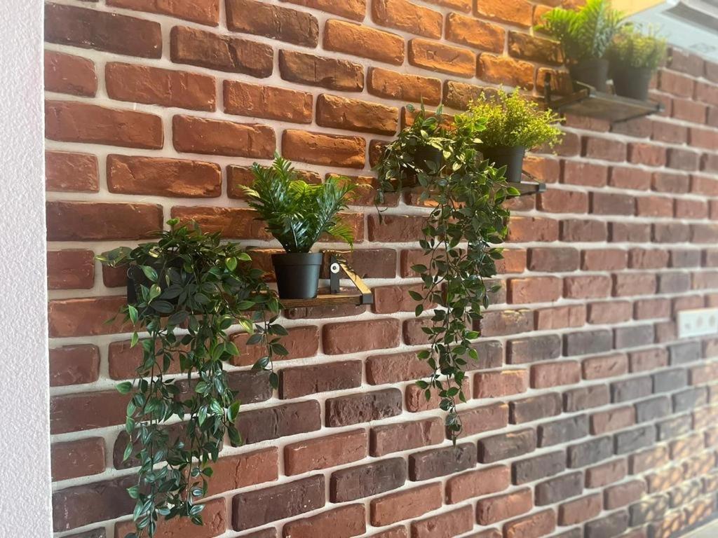 Luxurioese Loft Mit Garten Naehe Duesseldorf Messe Крефельд Екстер'єр фото